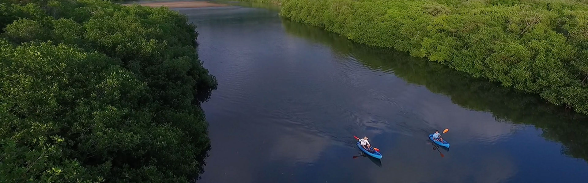 Ocean or Estuary Kayaking